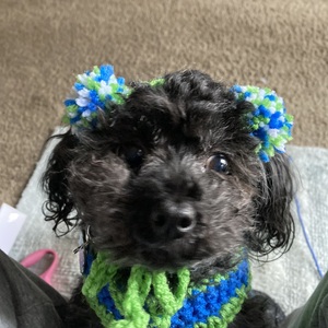 Fundraising Page: Deborah Besand